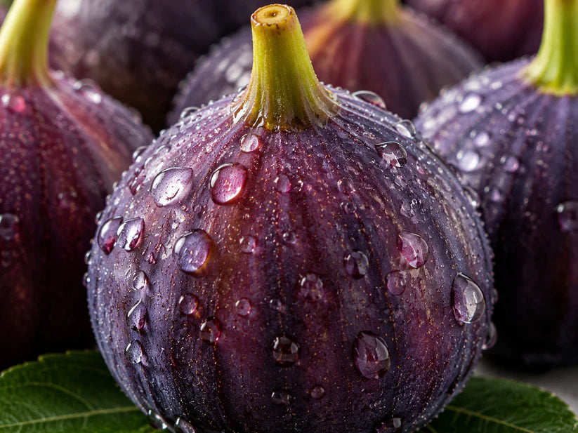 🌿 Grow Your Own Sweet, Juicy Figs at Home — Starting From Seed🍈