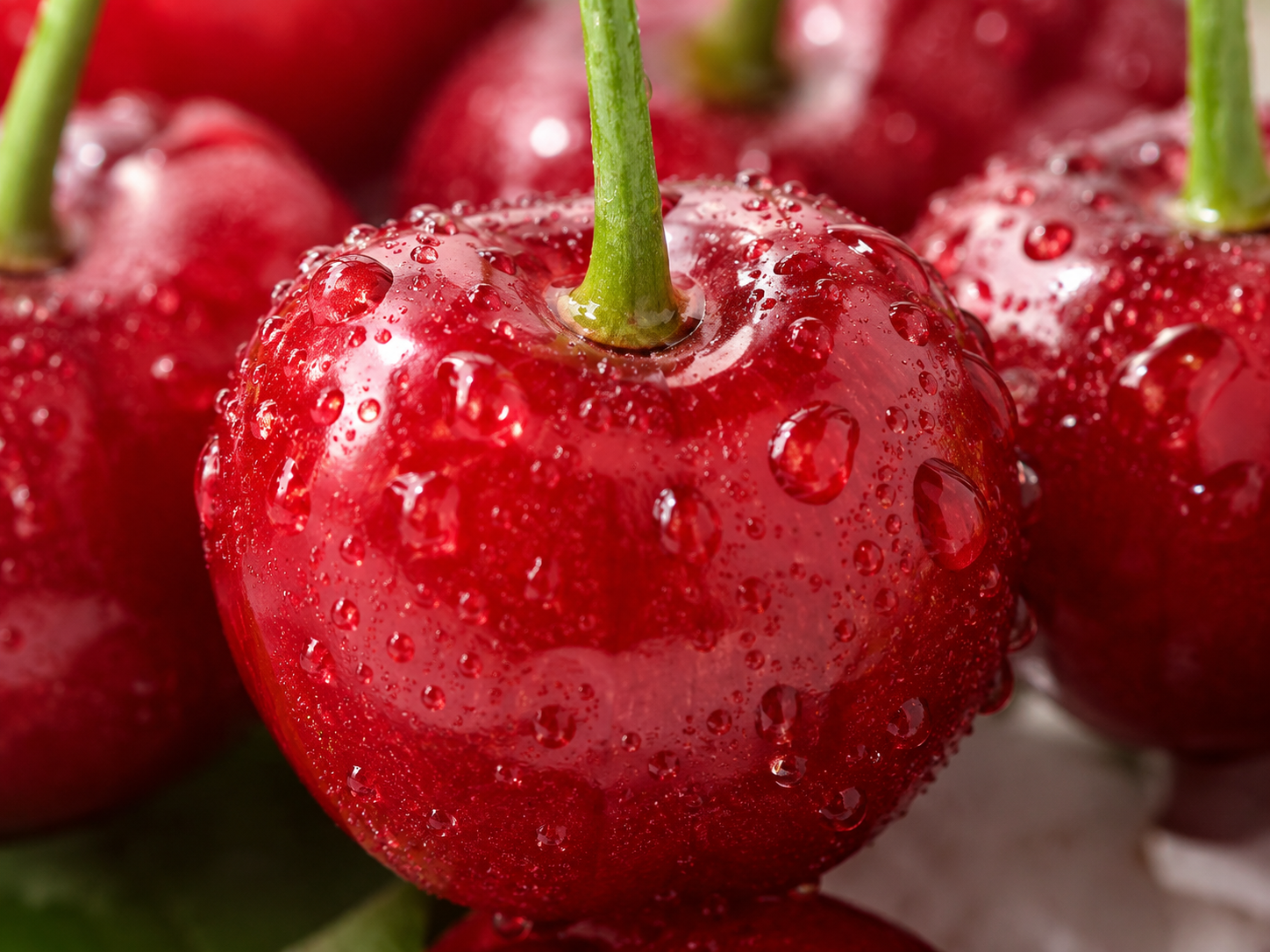 Cherry tree growing project